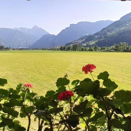 Ferienwohnung Zillertaler Alpenblick Zell am Ziller Dış mekan fotoğraf