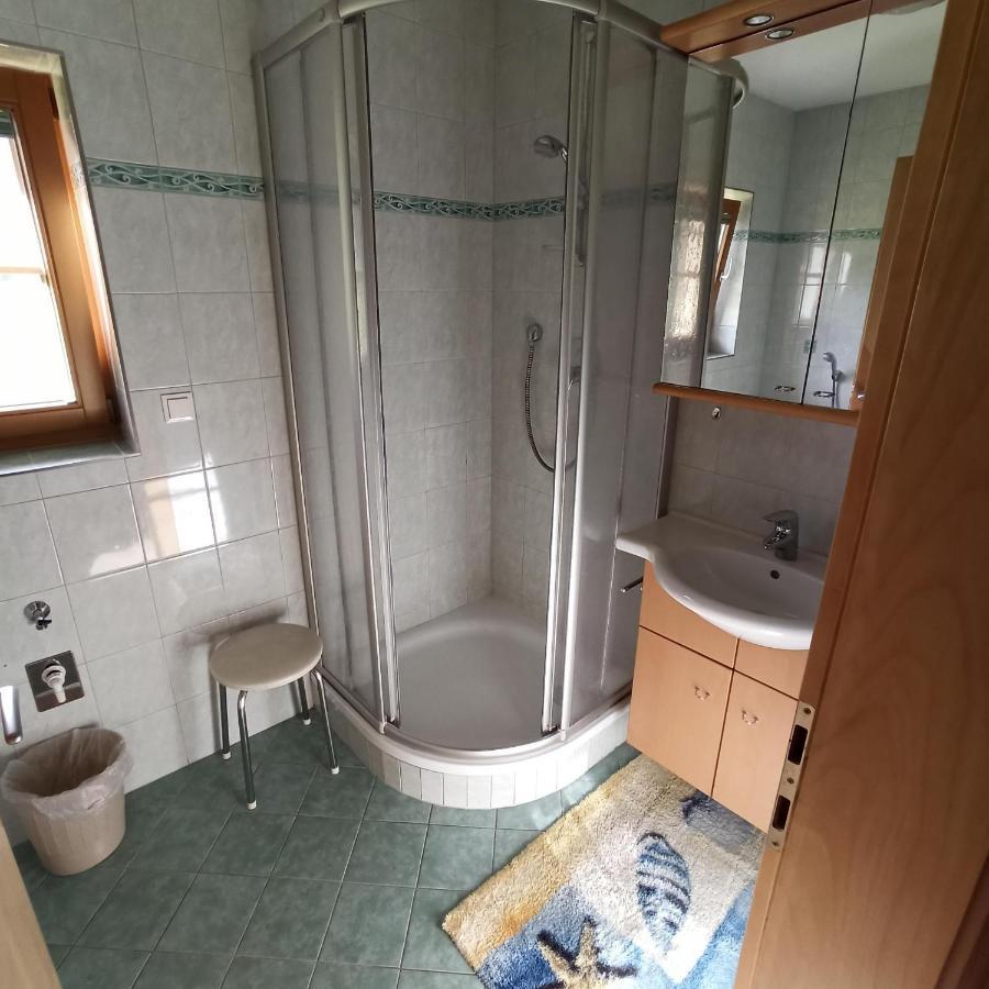 Ferienwohnung Zillertaler Alpenblick Zell am Ziller Dış mekan fotoğraf