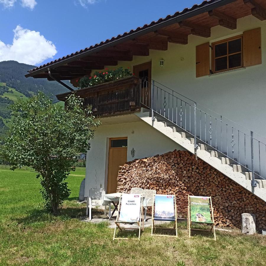 Ferienwohnung Zillertaler Alpenblick Zell am Ziller Dış mekan fotoğraf